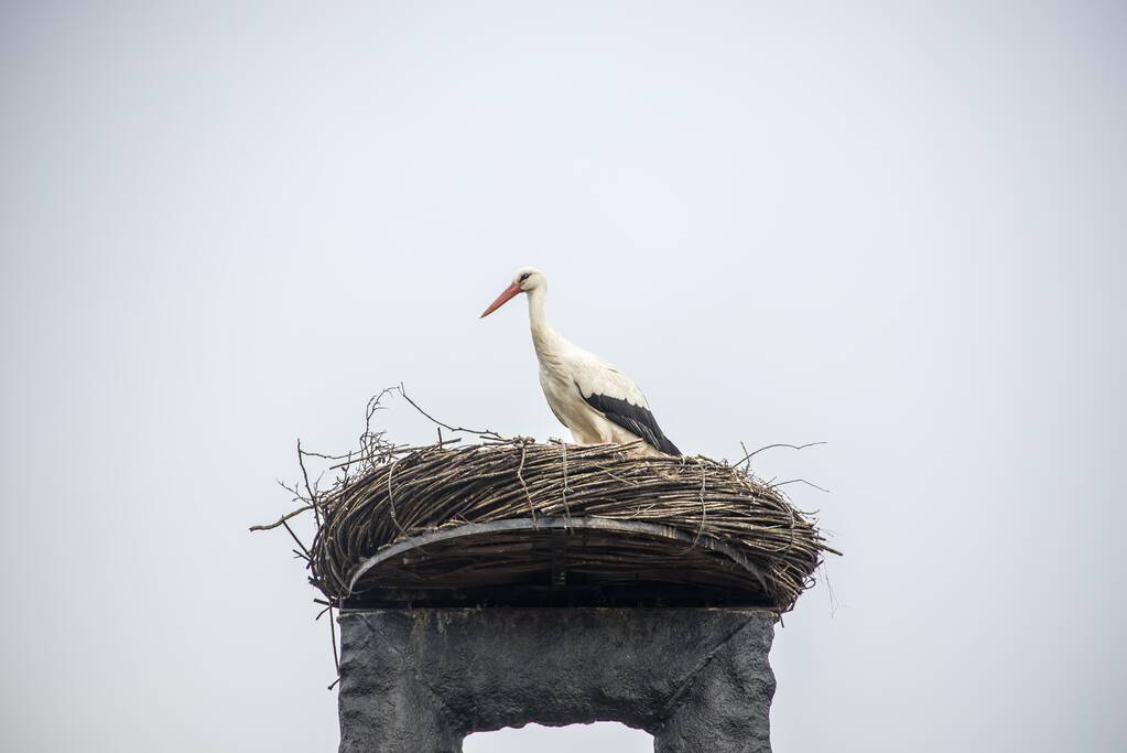Ooiervaars werken weer aan uitbreiding op kunstwerk Uiverhoeve