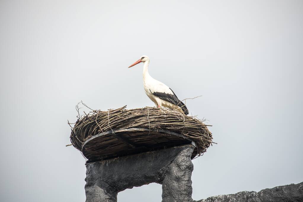Ooiervaars werken weer aan uitbreiding op kunstwerk Uiverhoeve