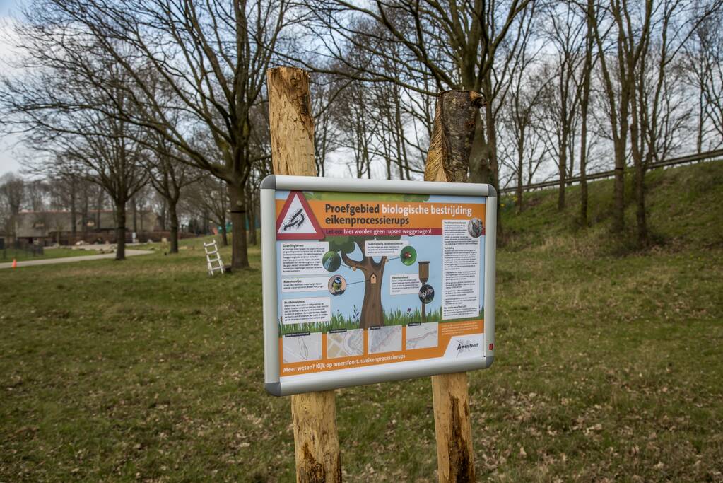 Wethouder opent proefgebied biologische bestrijding eikenprocessierups