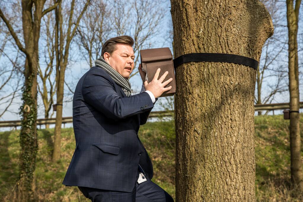 Wethouder opent proefgebied biologische bestrijding eikenprocessierups