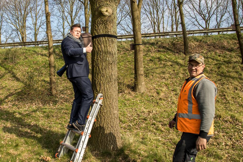 Wethouder opent proefgebied biologische bestrijding eikenprocessierups