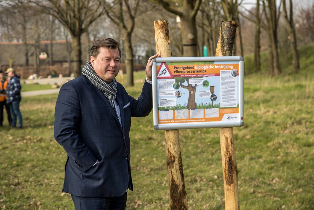 Wethouder opent proefgebied biologische bestrijding eikenprocessierups