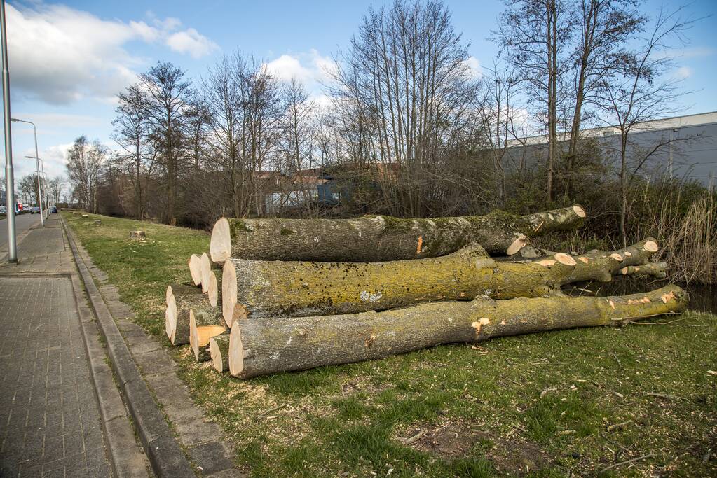 Fluorweg kaal gekapt