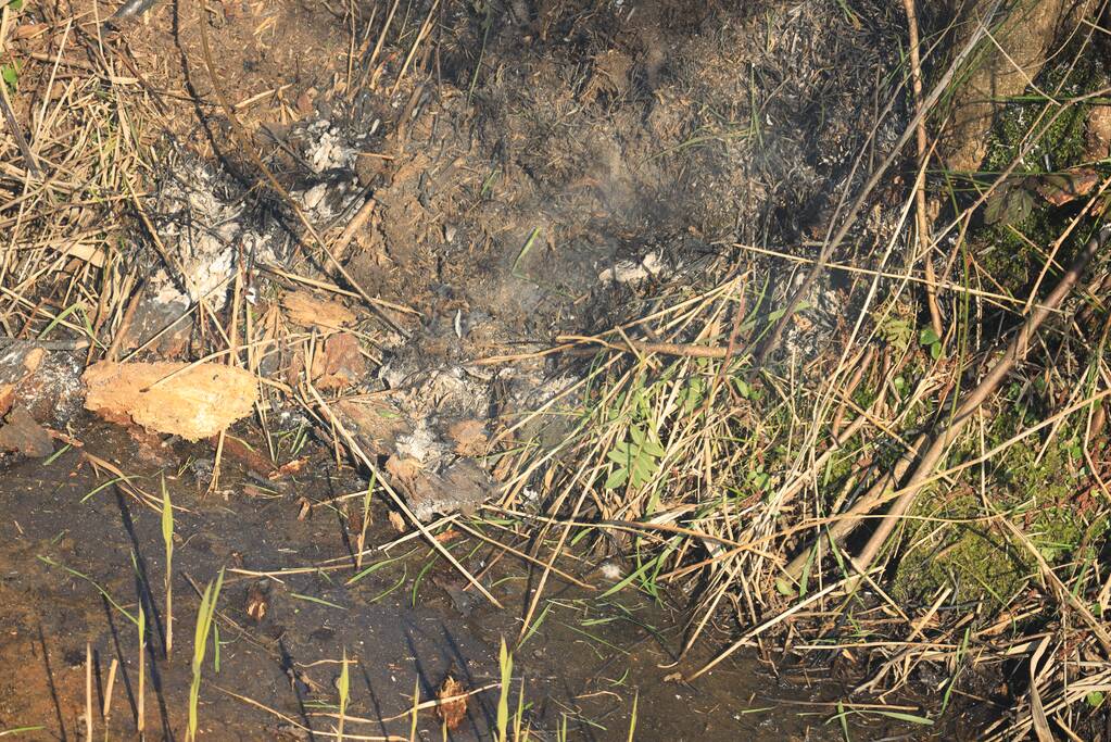 Jongeman gewond bij bermbrand