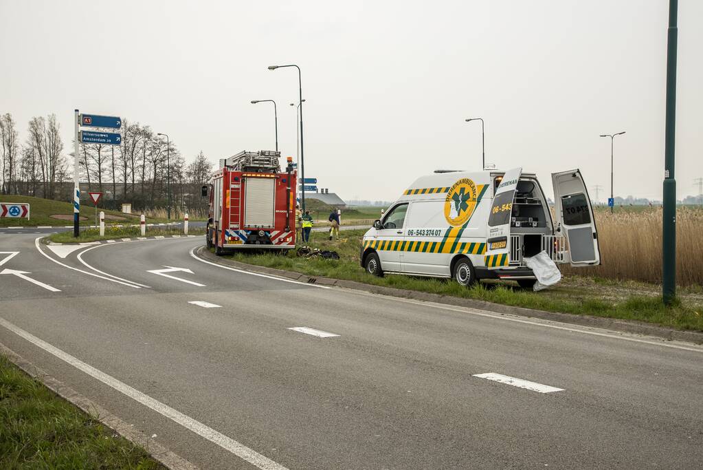 Aangereden zwaan laat zich niet vangen, Bunschoterstraat