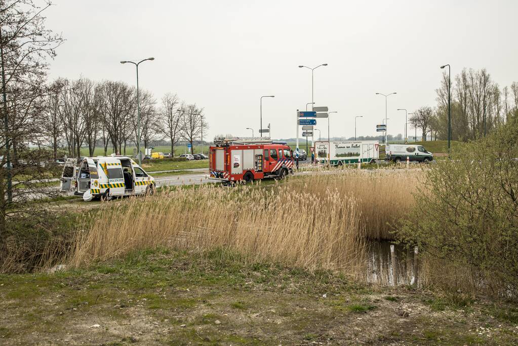 Aangereden zwaan laat zich niet vangen, Bunschoterstraat
