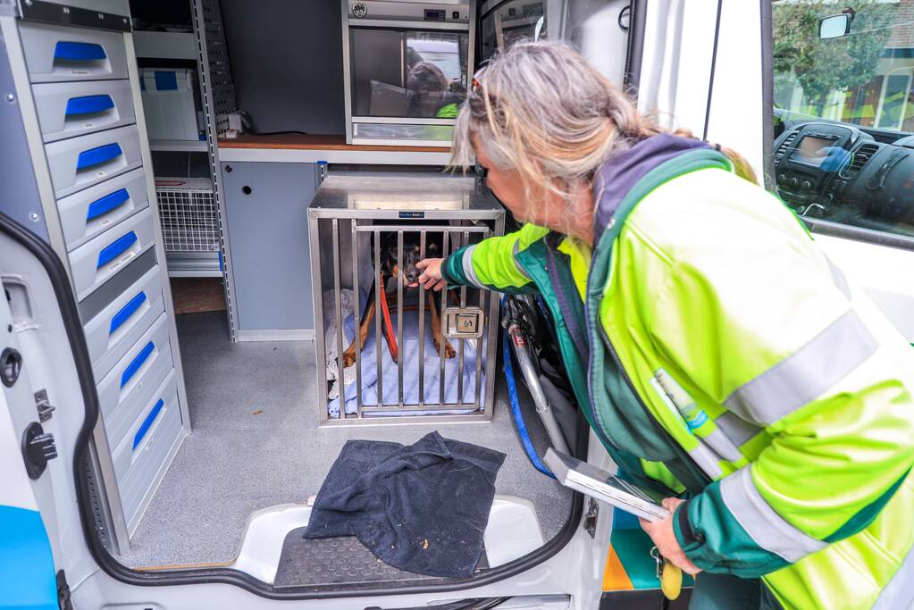 Arrestatie bij inval in woning; meerdere voertuigen in beslag genomen