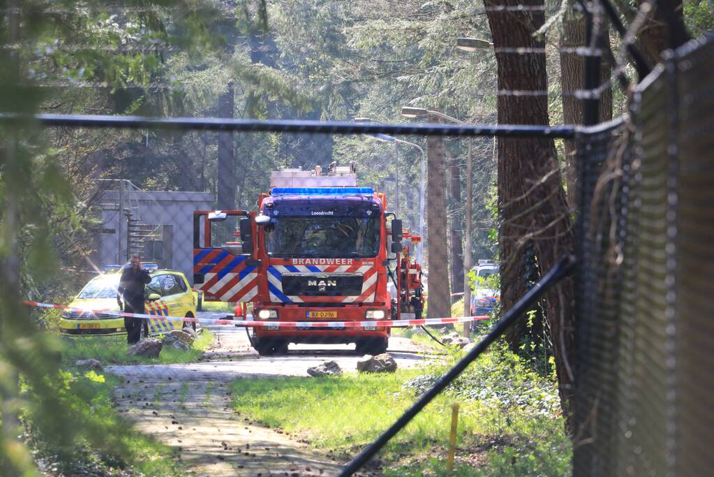 Neergestort vliegtuig hangt in boom