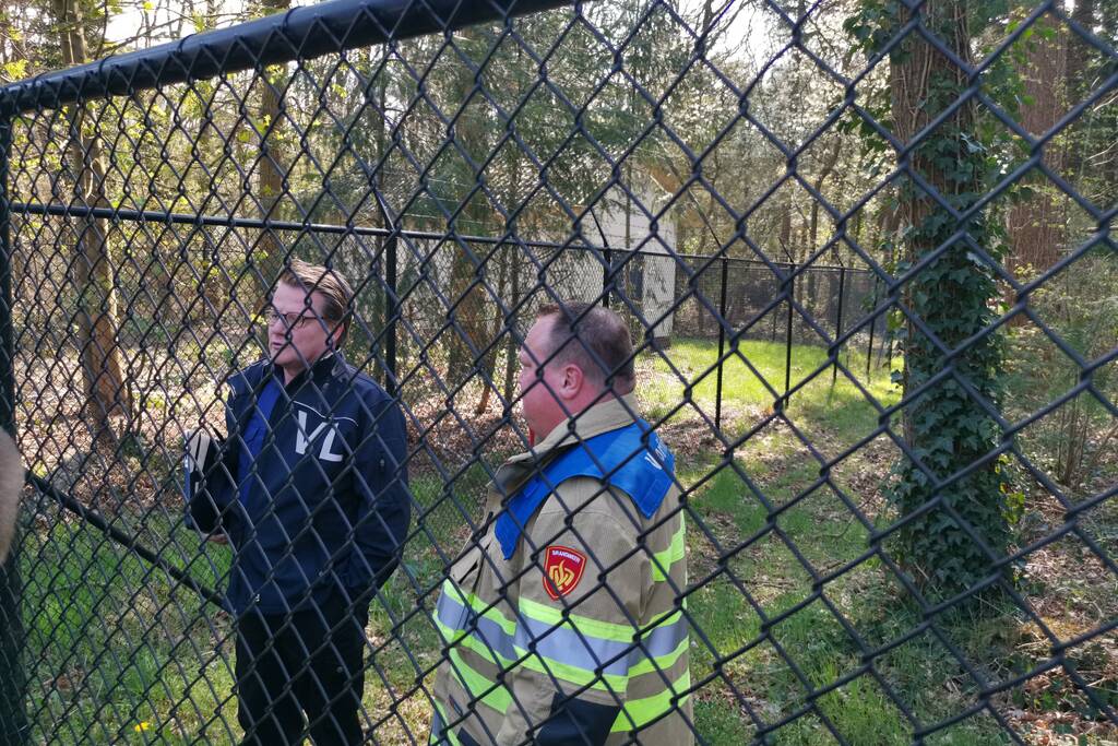 Neergestort vliegtuig hangt in boom