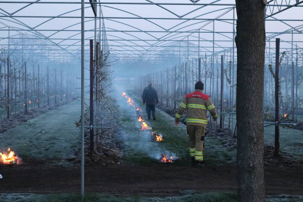 Kersenbomen roken zorgt voor flinke rookontwikkeling