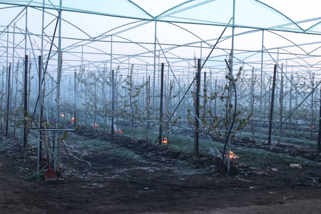 Kersenbomen roken zorgt voor flinke rookontwikkeling