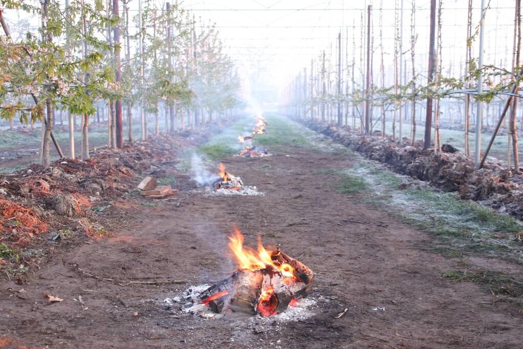 Nachtwerk voor fruitkwekers door vorst