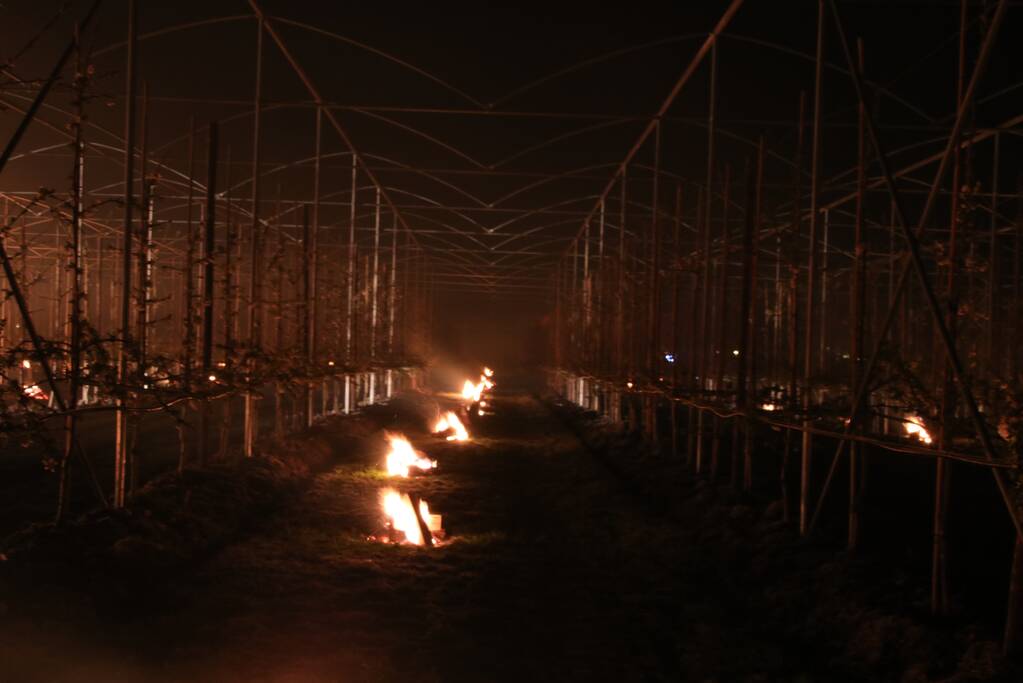 Nachtwerk voor fruitkwekers door vorst