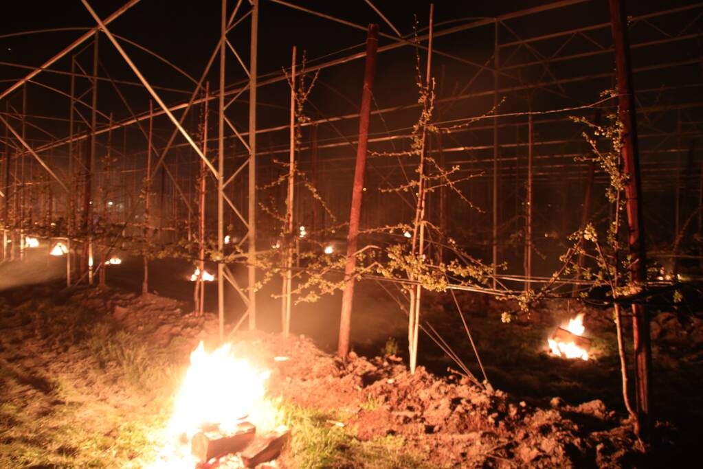 Nachtwerk voor fruitkwekers door vorst