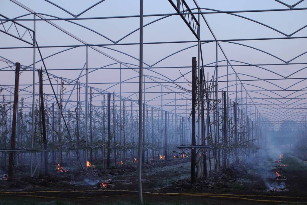 Nachtwerk voor fruitkwekers door vorst