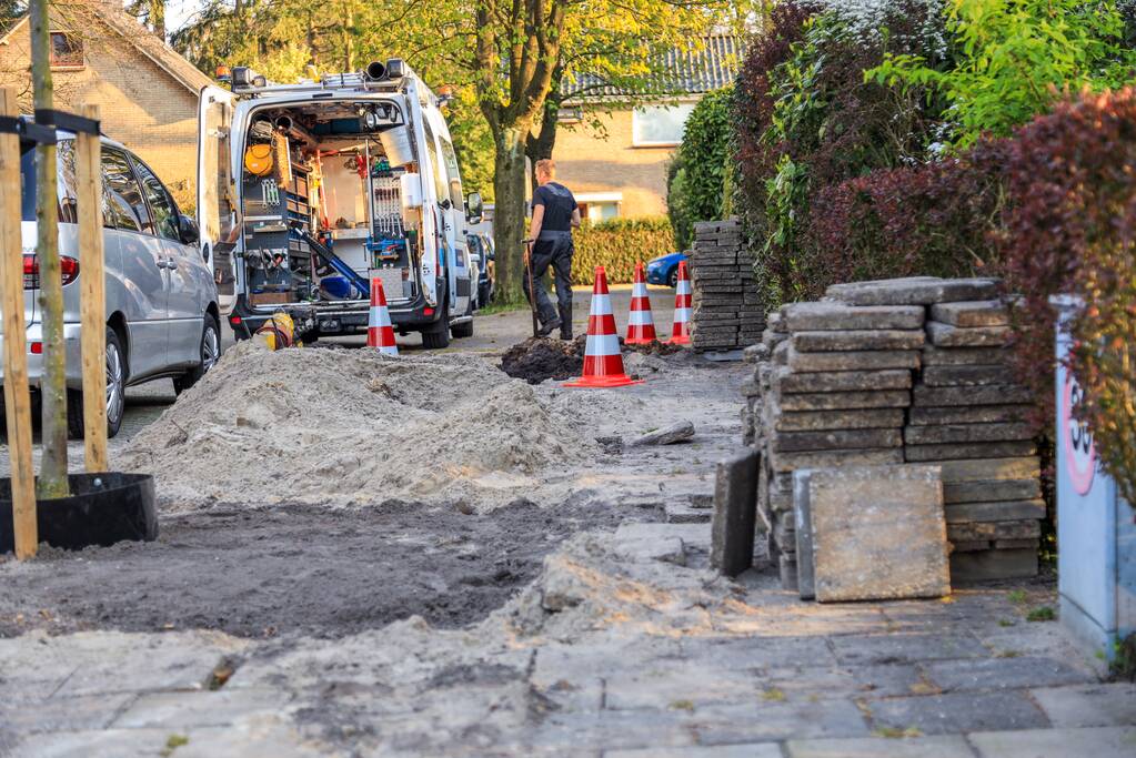 Wortels bomen doorboren waterleiding