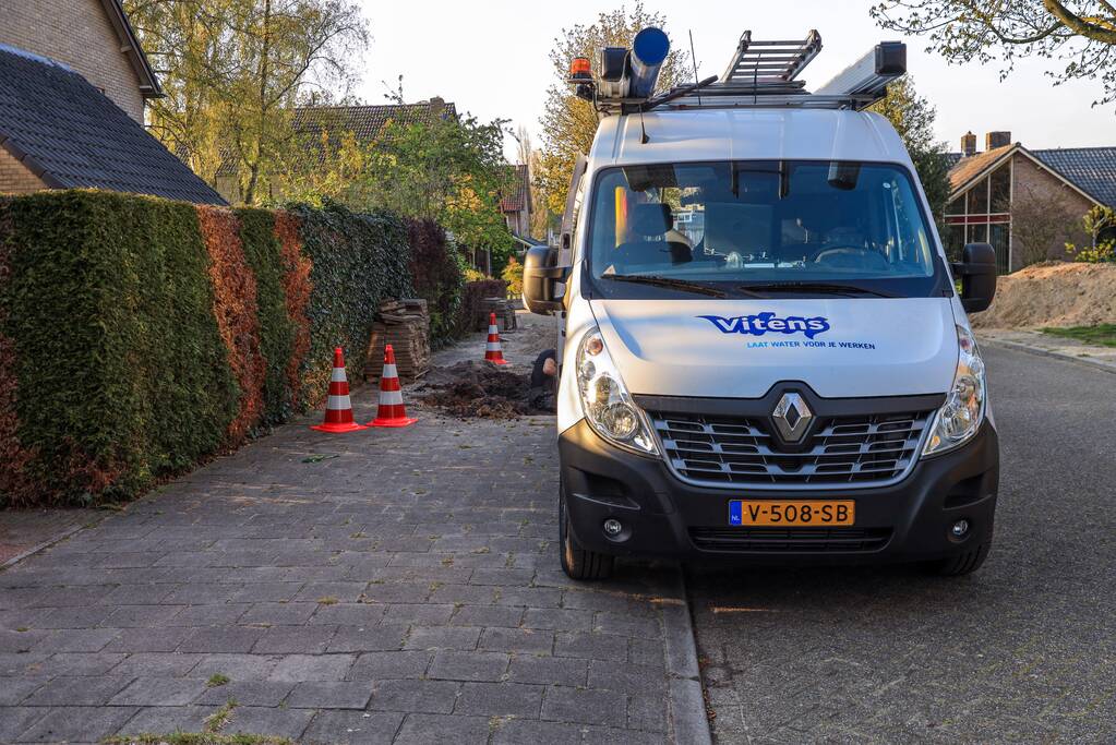 Wortels bomen doorboren waterleiding