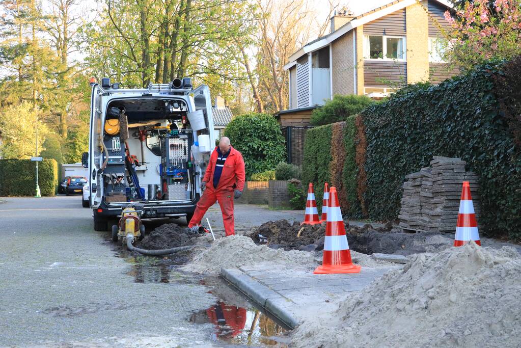 Wortels bomen doorboren waterleiding