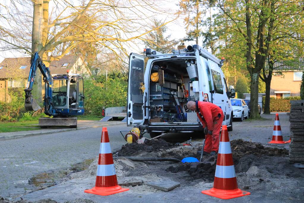 Wortels bomen doorboren waterleiding