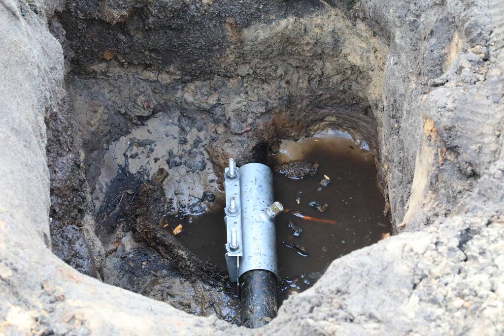 Wortels bomen doorboren waterleiding