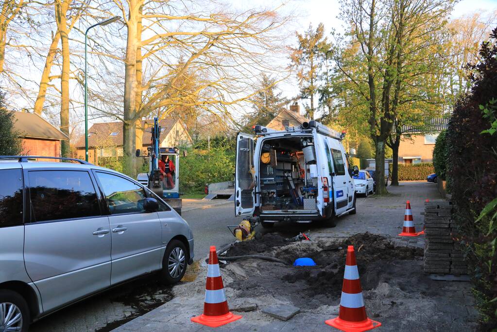 Wortels bomen doorboren waterleiding