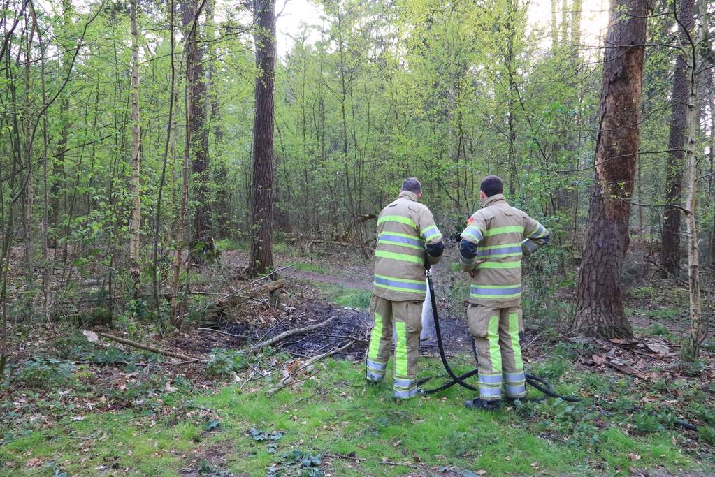 Kleine brand in bos achter Dierentuin