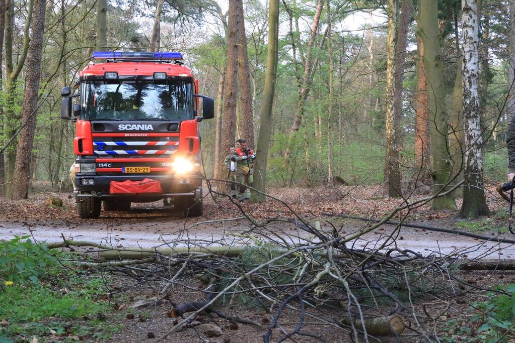 Kleine brand in bos achter Dierentuin