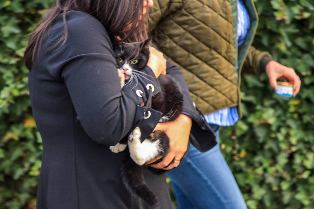 Poes Soba vast in motorcompartiment