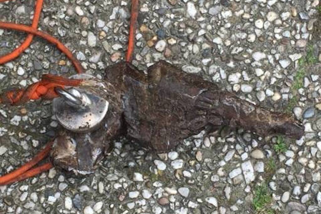 11-jarige Luc vist oude revolver op