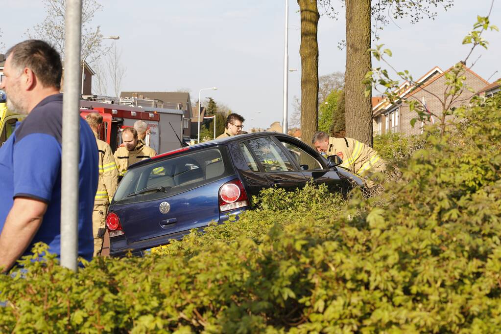 Auto raakt van de weg en belandt in struiken