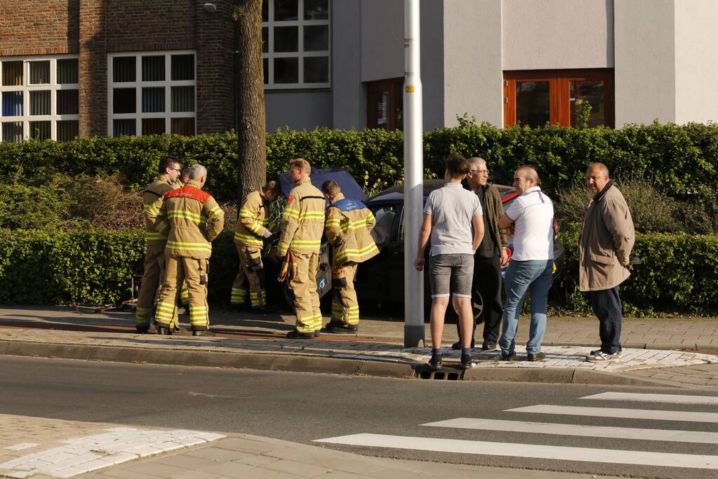 Auto raakt van de weg en belandt in struiken