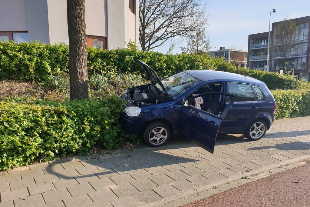 Auto raakt van de weg en belandt in struiken