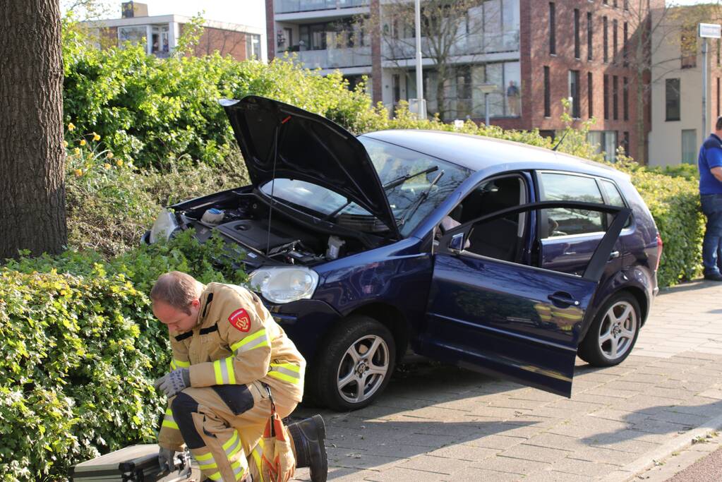 Auto raakt van de weg en belandt in struiken