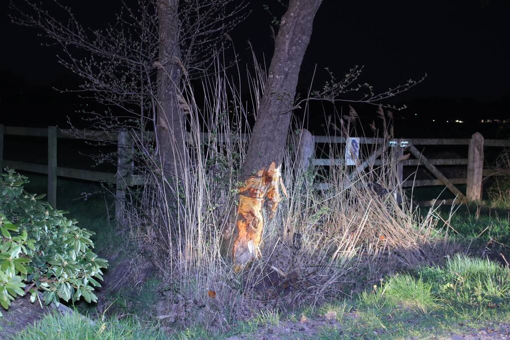 Auto beland op zijn dak na botsing met boom