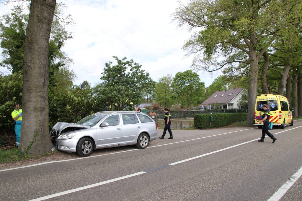 Auto crasht tegen boom
