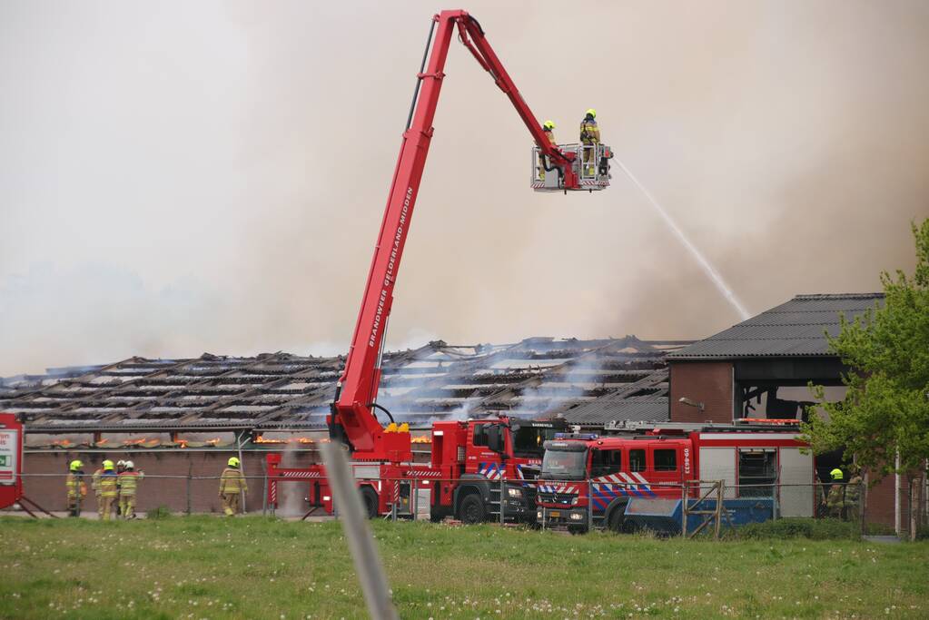 Grote kippenschuur met mogelijk 16.000 kippen in brand