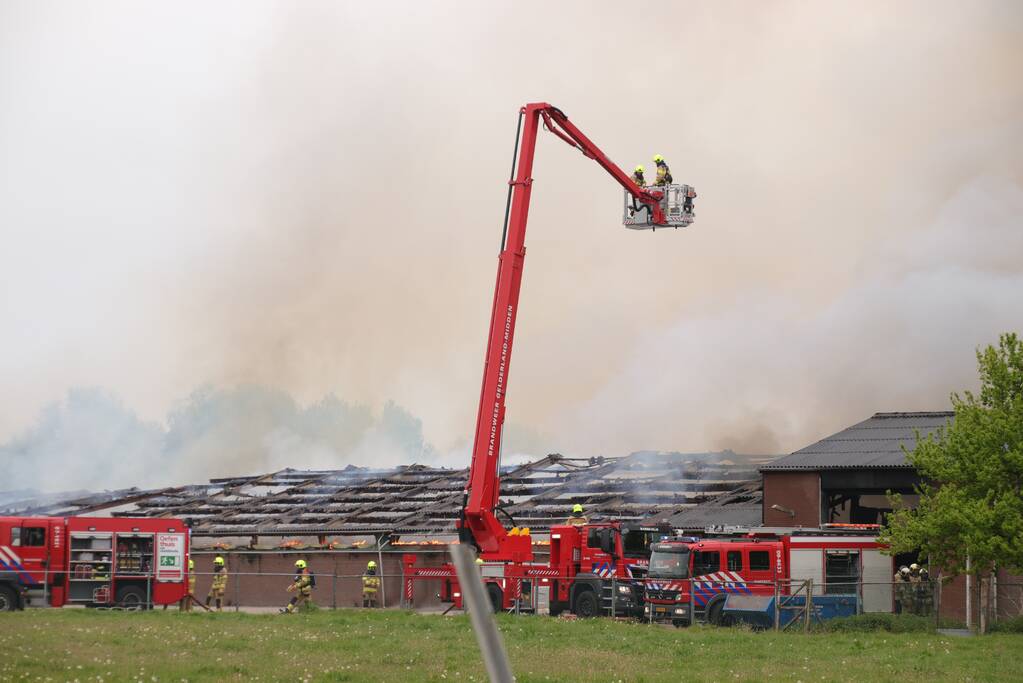 Grote kippenschuur met mogelijk 16.000 kippen in brand