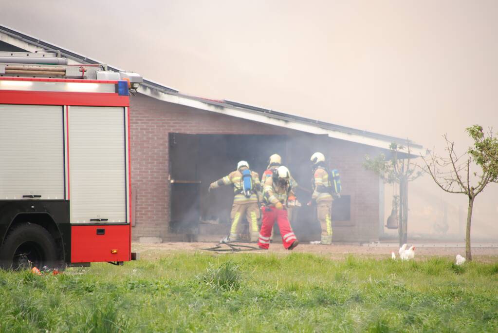 Grote kippenschuur met mogelijk 16.000 kippen in brand