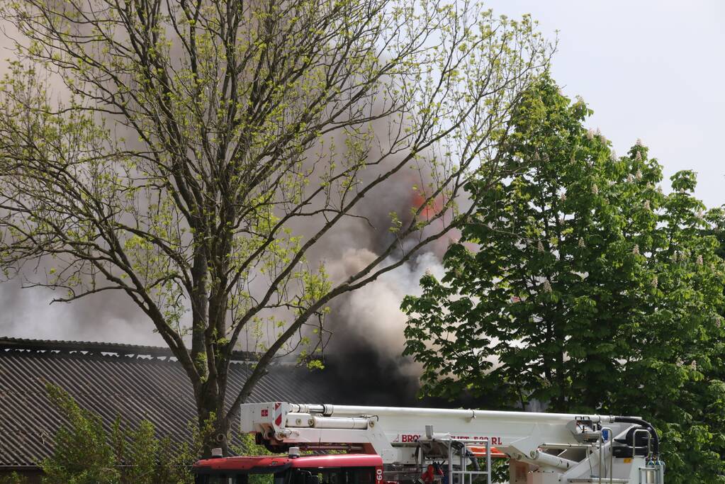 Veel rook bij brand in loods