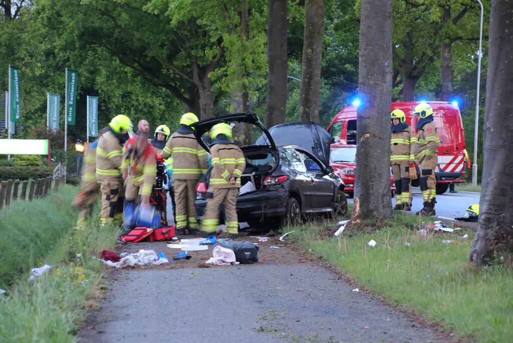 Auto klapt frontaal op boom