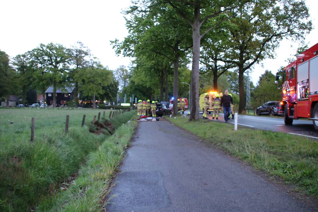Auto klapt frontaal op boom