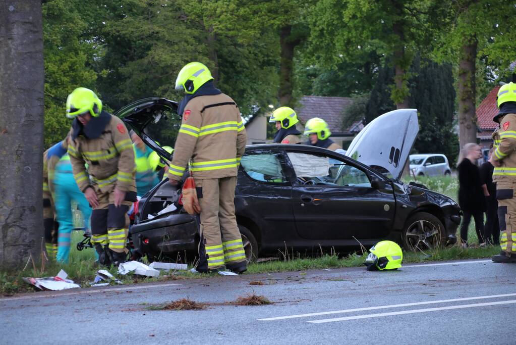 Auto klapt frontaal op boom