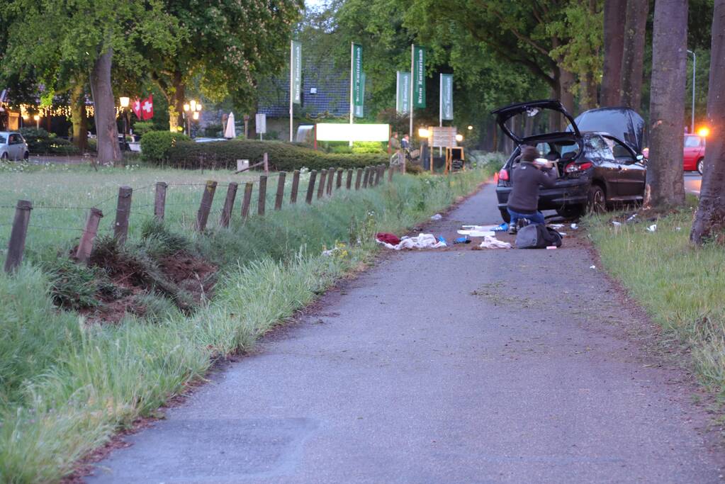 Auto klapt frontaal op boom