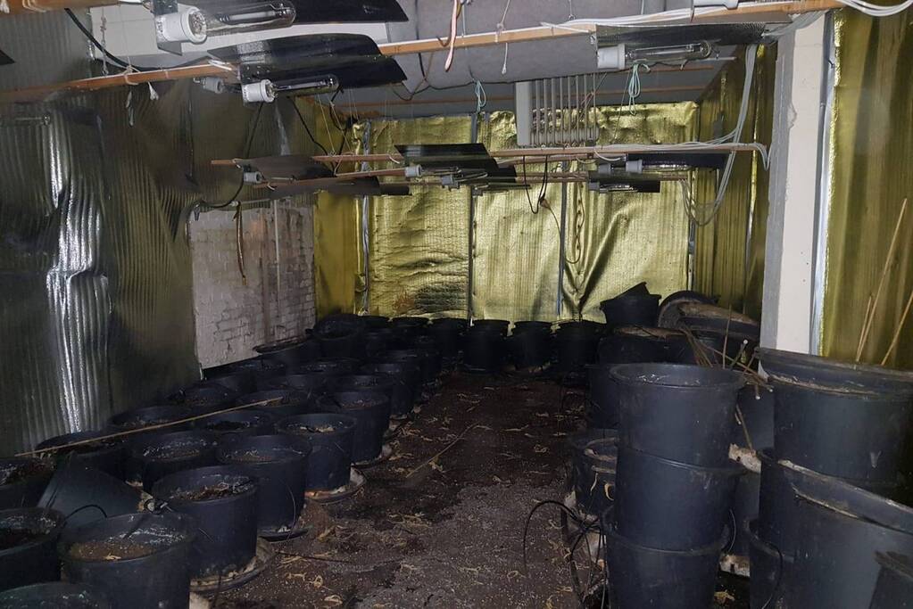 Hennepkwekerij ontmanteld in pand winkelstraat