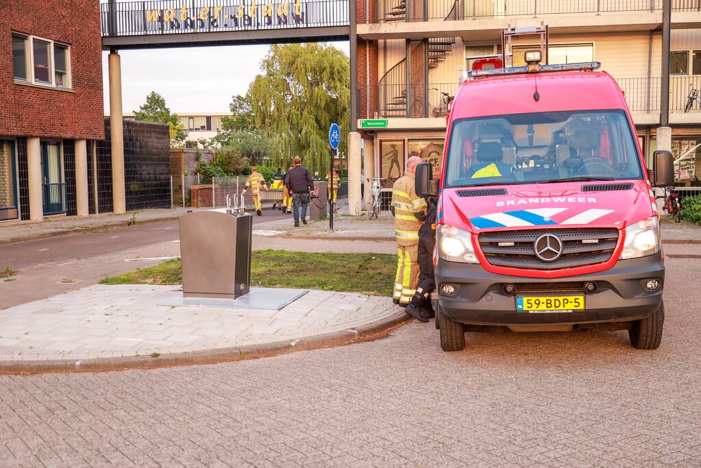 Dode meerkoet-moeder uit nest gehaald