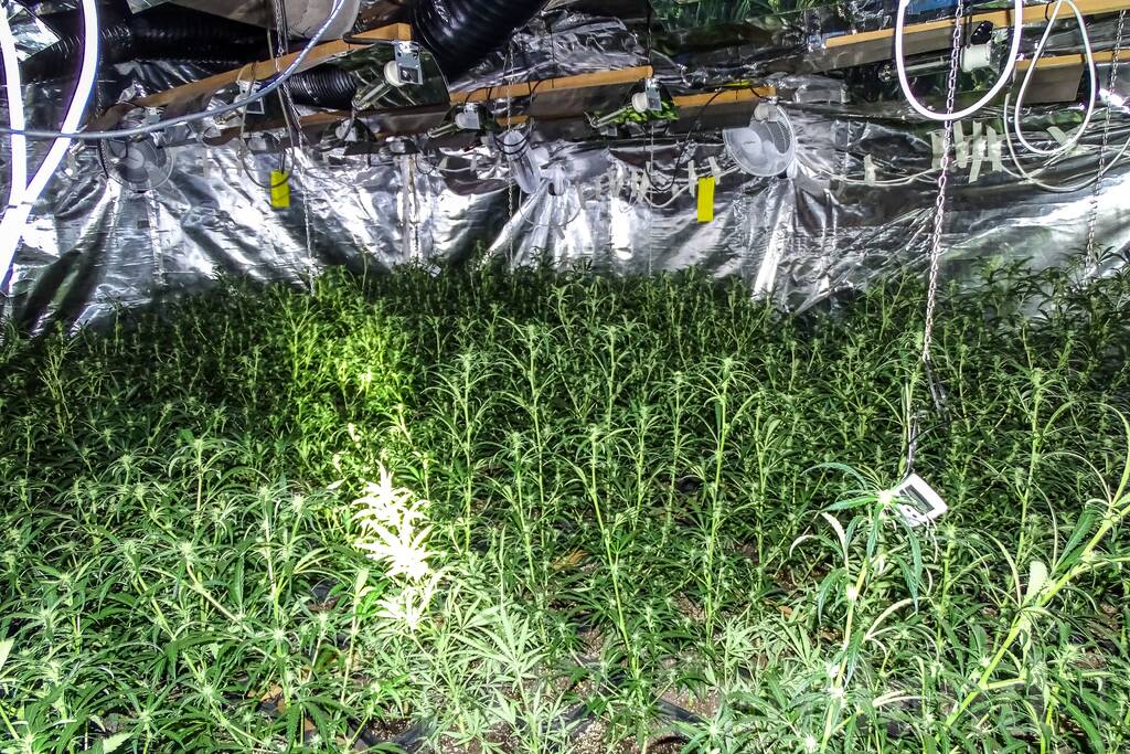 Gestolen auto's aangetroffen in hennep-pand