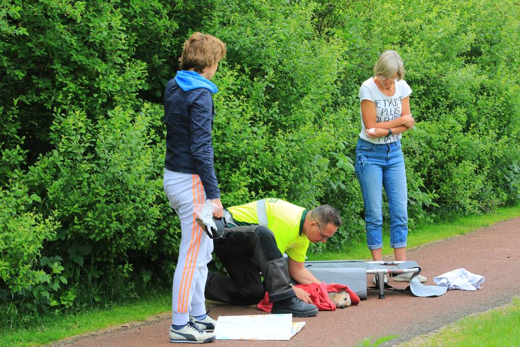 Hondje aangevallen door uitgebroken herder