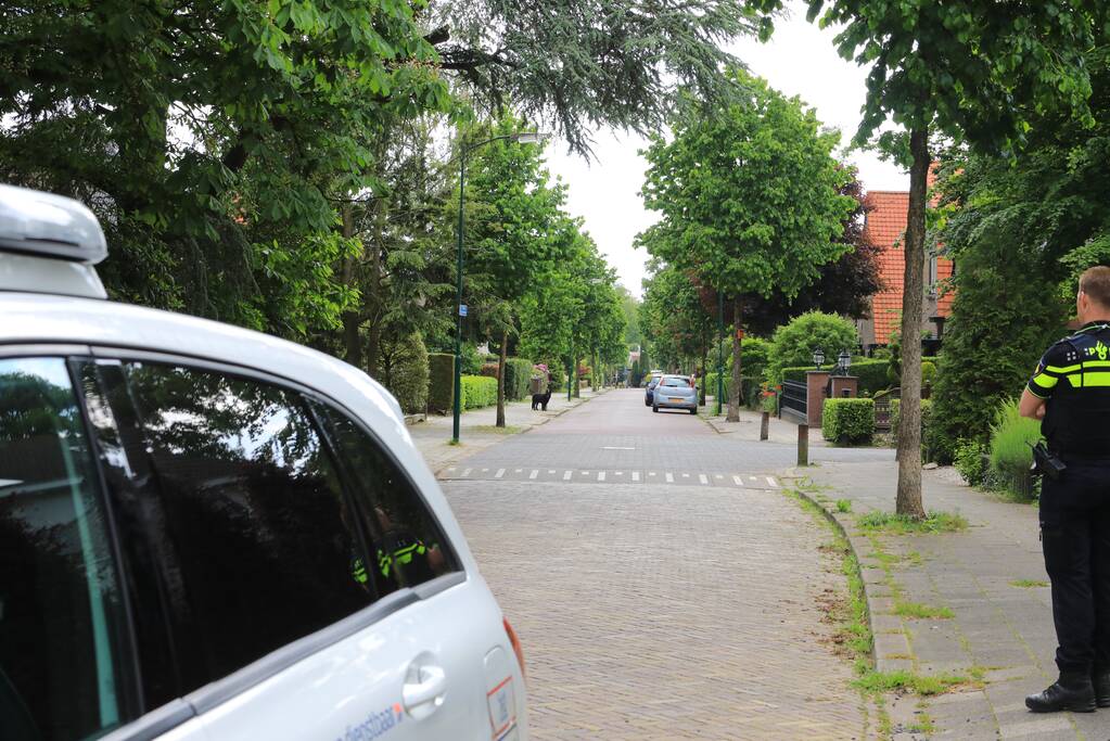 Hondje aangevallen door uitgebroken herder