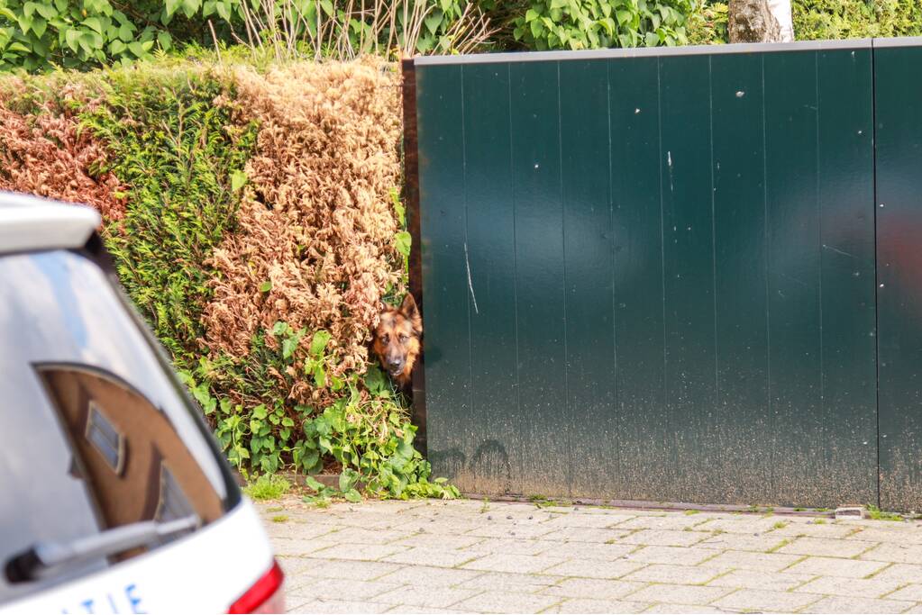 Hondje aangevallen door uitgebroken herder