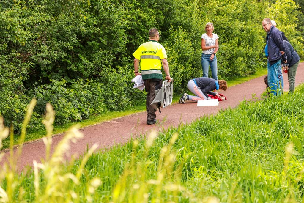 Hondje aangevallen door uitgebroken herder